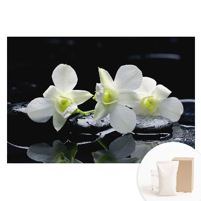 Papier peint photo sur tissu non tissé Orchidées blanches sur des pierres.