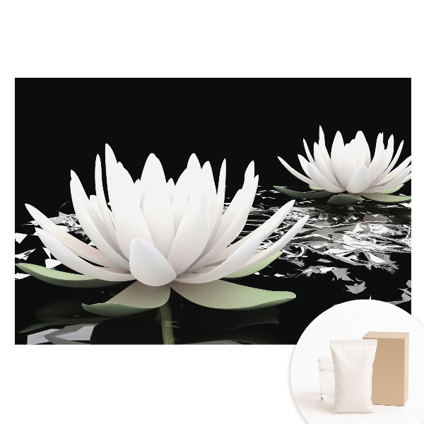 Papier peint photographique intissé Nénuphars élégants sur fond sombre