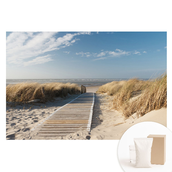 Papier peint intissé imprimé Sentier côtier au milieu des dunes