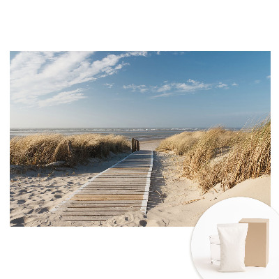 Papier peint intissé imprimé Sentier côtier au milieu des dunes