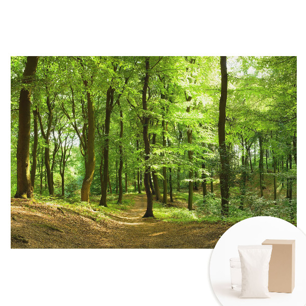 Papier peint photo sur tissu non tissé Forêt verte et fraîche