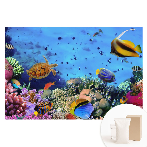 Papier peint photographique intissé Un monde sous-marin plein de couleurs