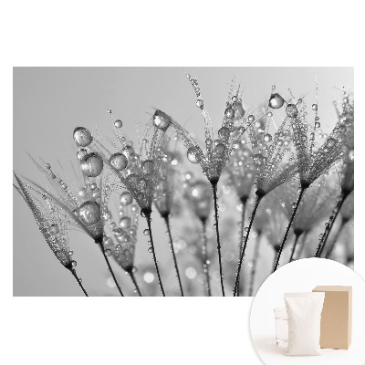 Papier peint photo imprimé sur tissu non tissé Gouttes sur les graines de pissenlit