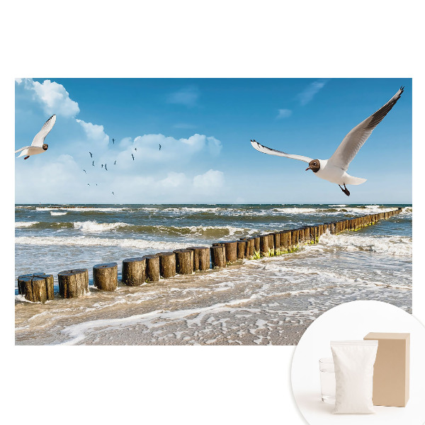 Papier peint photo grand format pour le mur Mouettes au-dessus de la mer