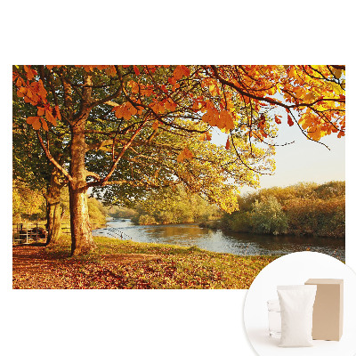 Papier peint intissé Paysage fluvial d'automne aux couleurs apaisantes