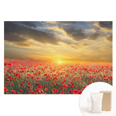 Papier peint photographique intissé Un champ de coquelicots au petit matin, un coucher de soleil époustouflant