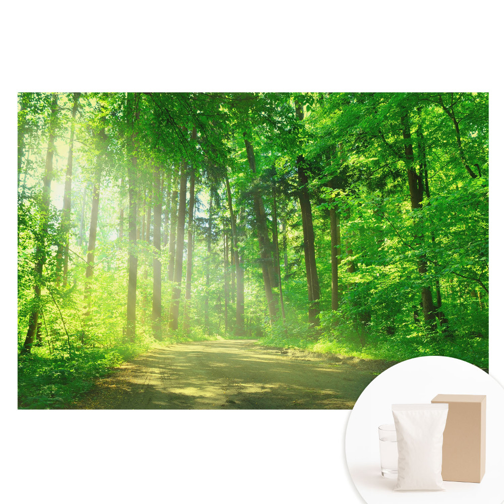 Papier peint photo imprimé sur tissu non tissé Forêt verte, soleil, paix