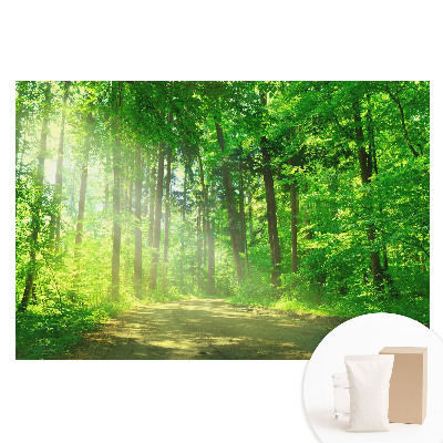 Papier peint photo intissé Forêt verte, soleil et paix