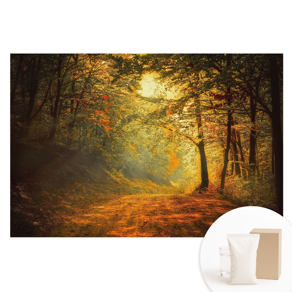 Papier peint intissé La magie de la forêt d'automne