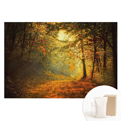 Papier peint intissé La magie de la forêt d'automne
