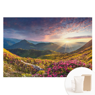 Papier peint panoramique intissé paysage de montagne au soleil