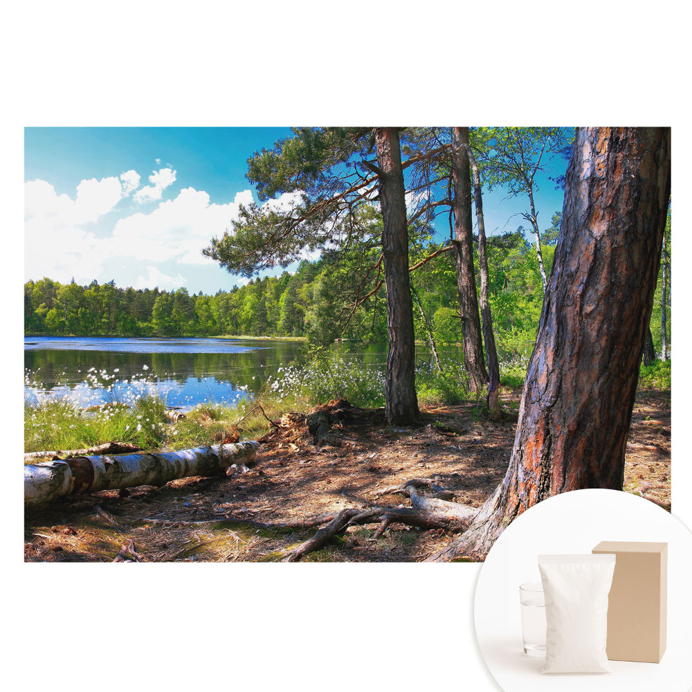 Papier peint photographique intissé Paysage forestier au bord du lac, paix naturelle