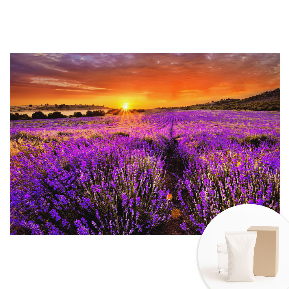 Papier peint photo sur tissu non tissé Coucher de soleil sur les champs de lavande