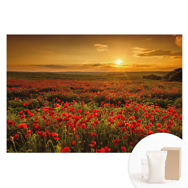 Papier peint photographique sur tissu non tissé Coucher de soleil dans un champ de coquelicots