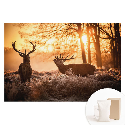 Papier peint photographique sur tissu non tissé Cerfs d'automne dans la lumière du lever du soleil
