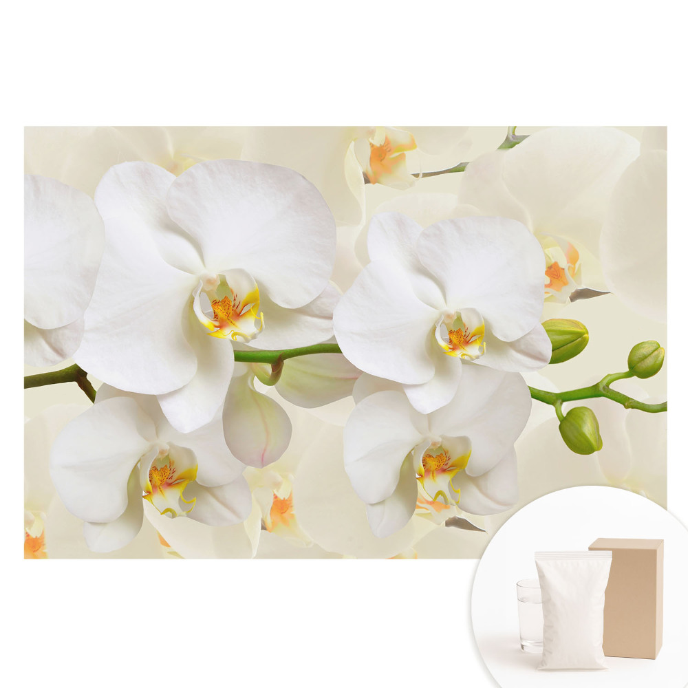 Papier peint intissé à motif d'orchidées blanches style moderne