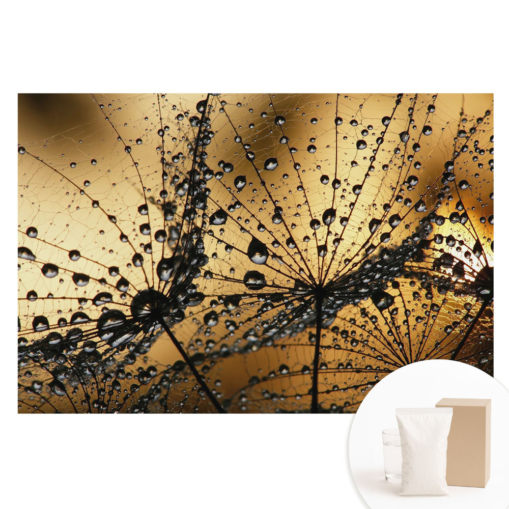 Papier peint photo grand format pour le mur Des gouttes élégantes sur le filet à la lumière