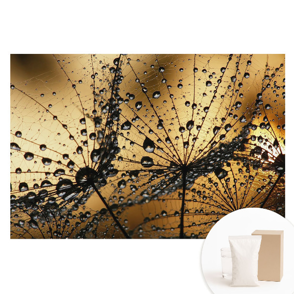 Papier peint photo grand format pour le mur Des gouttes élégantes sur le filet à la lumière