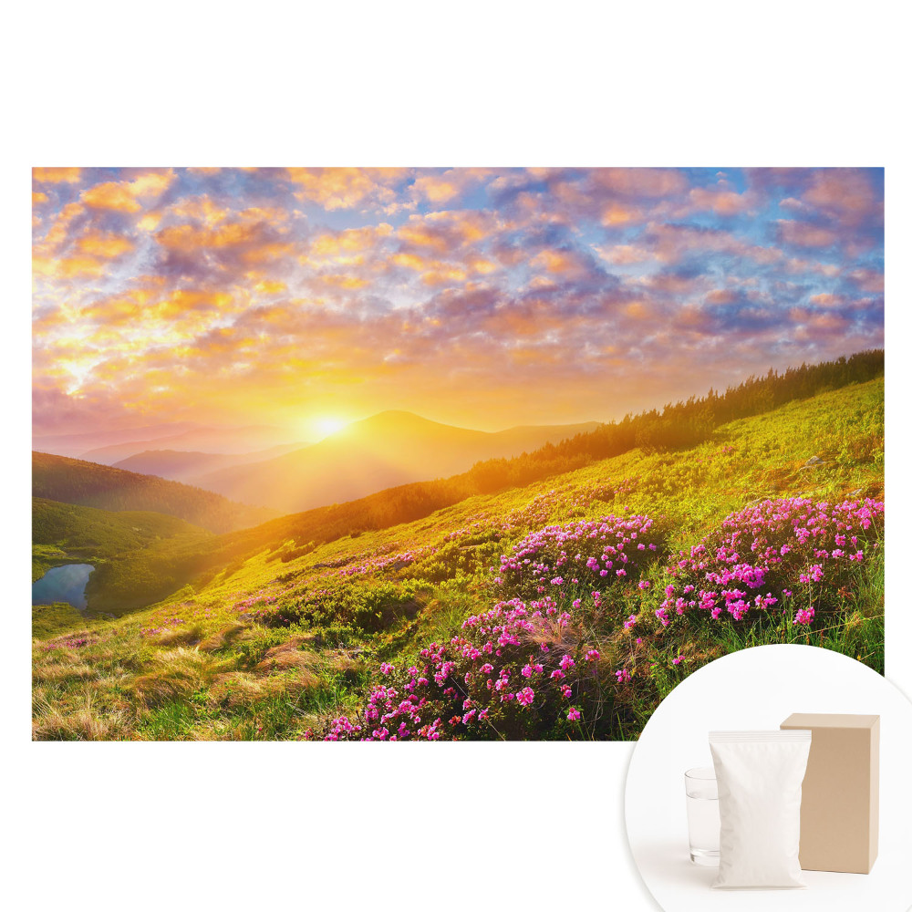 Papier peint intissé Fleurs de montagne au coucher du soleil