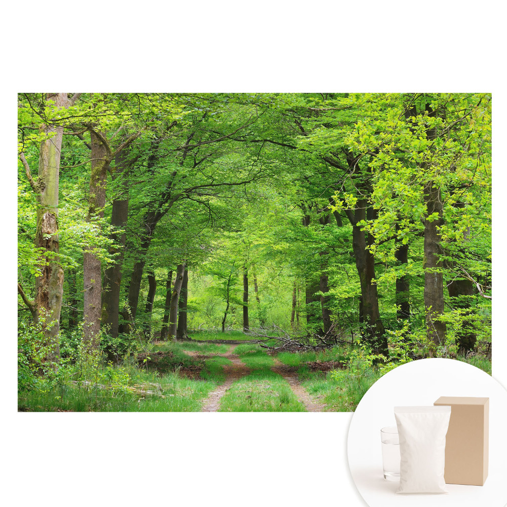 Papier peint photo grand format pour le mur Forêt verdoyante, paysage harmonieux