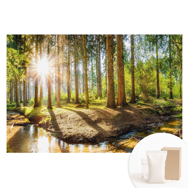 Papier peint photo imprimé sur tissu non tissé Soleil radieux dans un paysage forestier