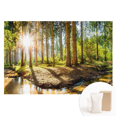 Papier peint photo imprimé sur tissu non tissé Soleil radieux dans un paysage forestier