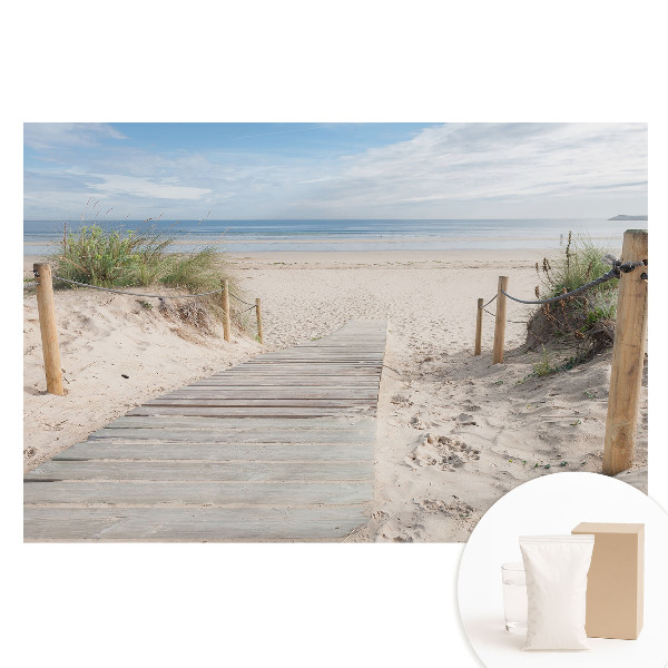 Papier peint intissé imprimé Entrée de la plage au milieu des dunes