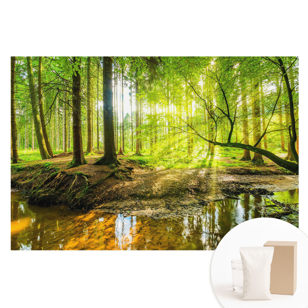 Papier peint photo imprimé sur tissu non tissé Paix de la forêt, lumière, ruisseau