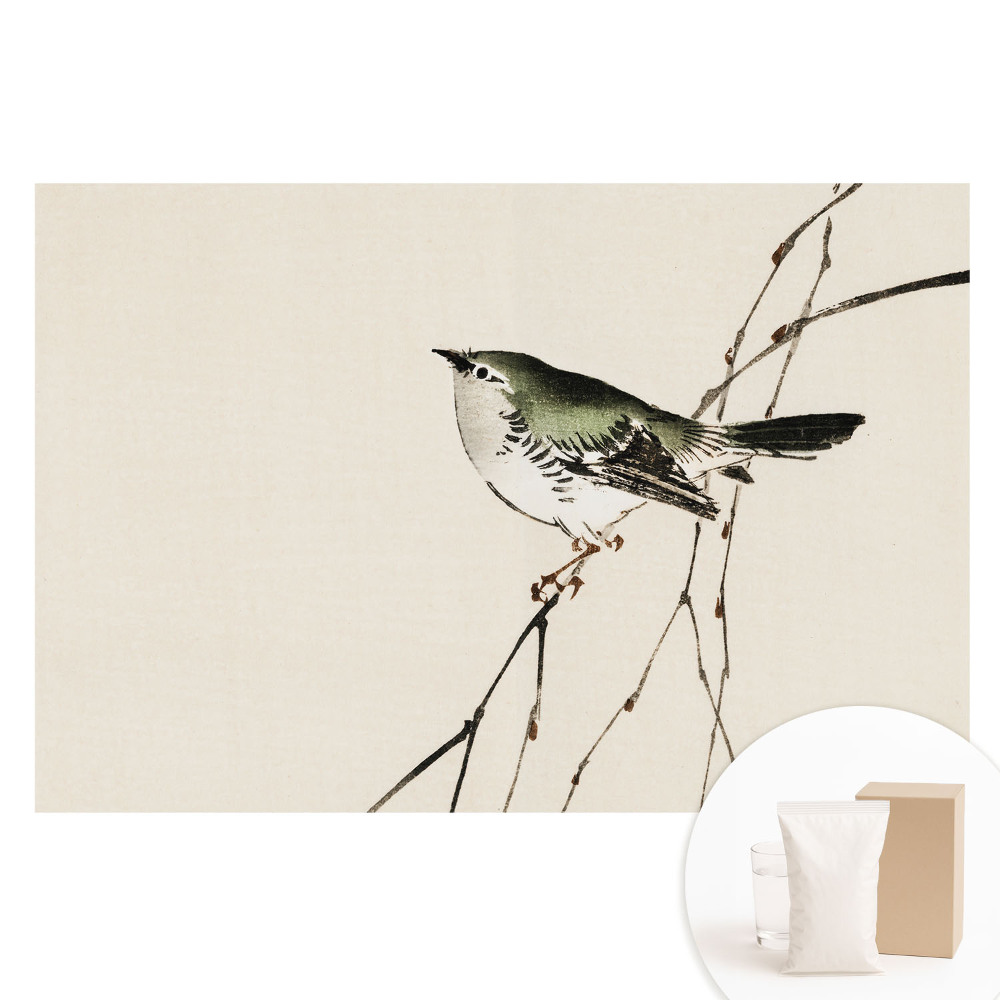 Papier peint intissé Oiseau sur une branche, harmonie minimaliste.