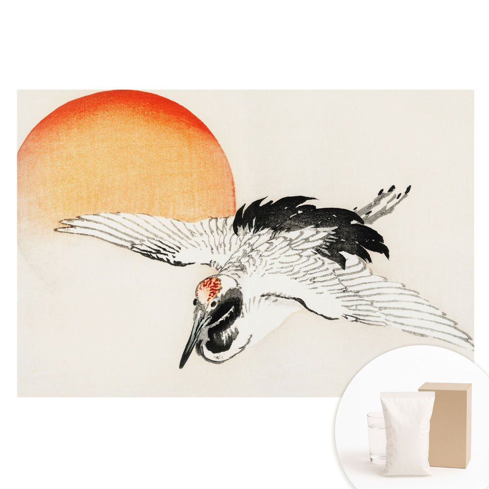 Papier peint panoramique intissé Motif oiseaux en vol