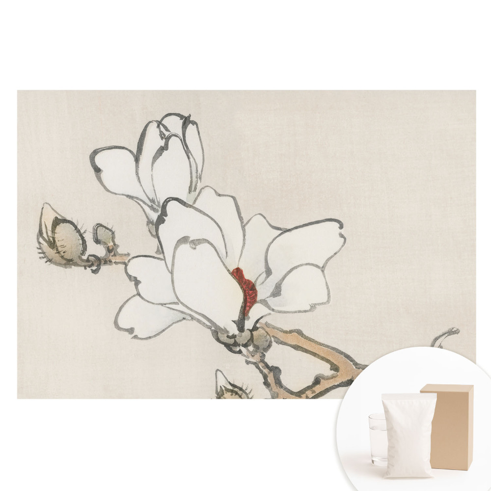 Papier peint intissé Magnolias classiques à l'encre