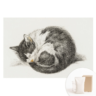 Papier peint photo sur tissu non tissé Illustration centrale d'un chaton endormi