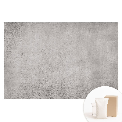 Papier peint panoramique intissé effet béton détaillé au style minimaliste