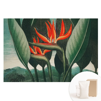 Papier peint photo sur tissu non tissé Plantes exotiques sur fond vert