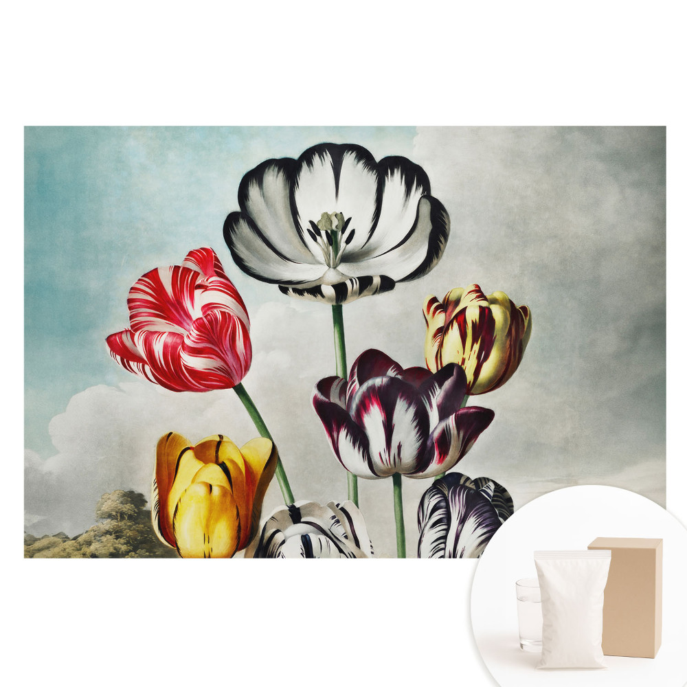 Papier peint intissé Bouquet de tulipes, élégance classique