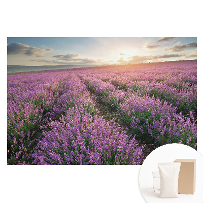 Papier peint photo sur tissu non tissé Coucher de soleil lavande pourpre