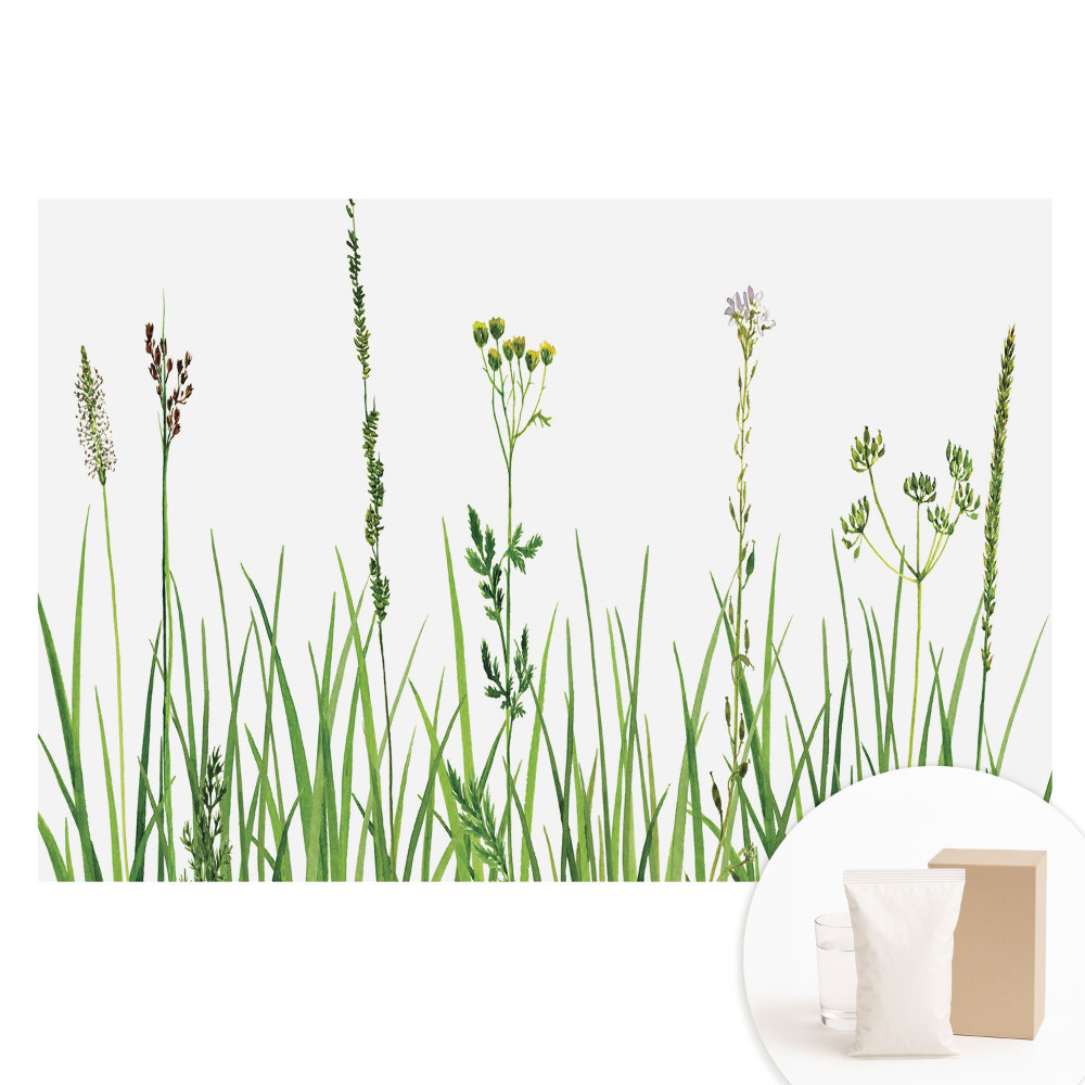 Papier peint intissé imprimé Harmonie de la nature à l'aquarelle, fleurs sauvages et herbes