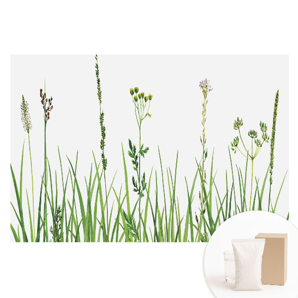 Papier peint intissé imprimé Harmonie de la nature à l'aquarelle, fleurs sauvages et herbes