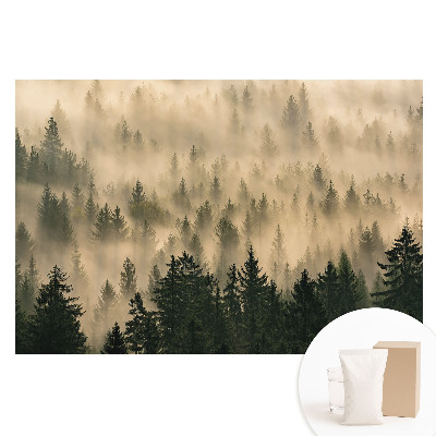 Papier peint photographique intissé Forêt dans le brouillard matinal