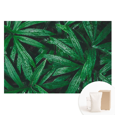Papier peint intissé gros plan sur des feuilles