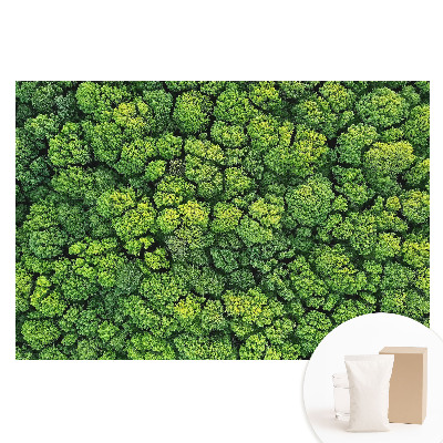 Papier peint photo grand format Forêt verte vue du ciel