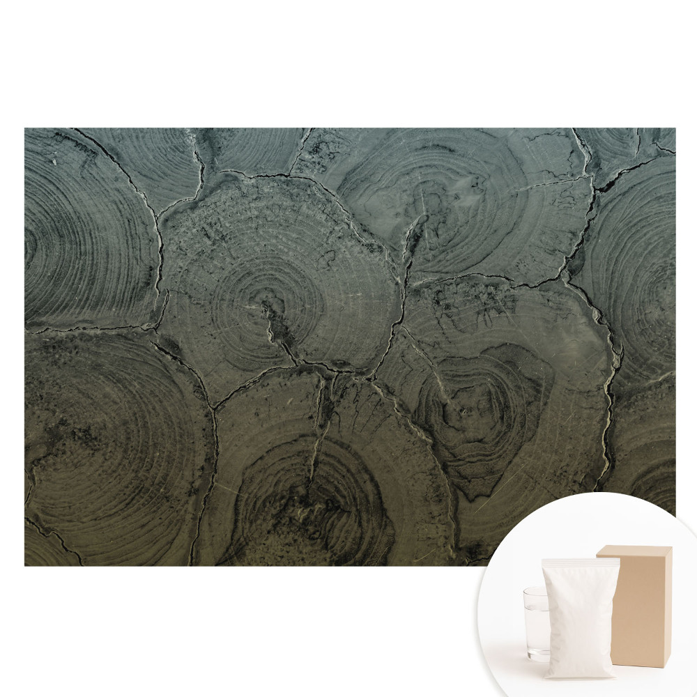 Papier peint photo grand format pour le mur Motif classique à grain de bois gris