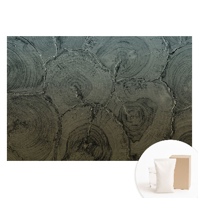 Papier peint photo grand format pour le mur Motif classique à grain de bois gris