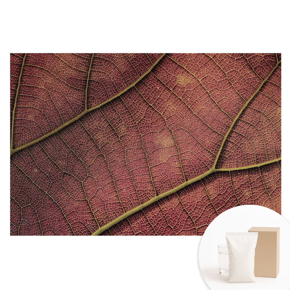 Papier peint photo grand format pour le mur La structure de la feuille regorge de détails et de couleurs.