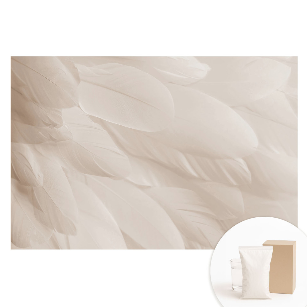 Papier peint photo sur tissu non tissé Plumes délicates, composition harmonieuse