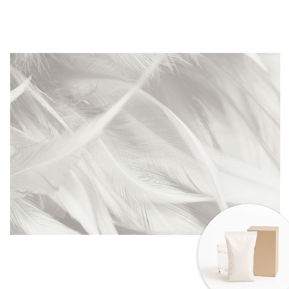 Papier peint photographique intissé Plumes blanches duveteuses