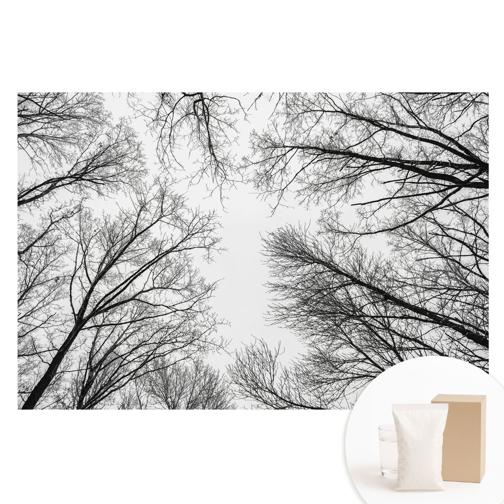 Papier peint photo sur tissu non tissé arbres d'hiver noirs et blancs