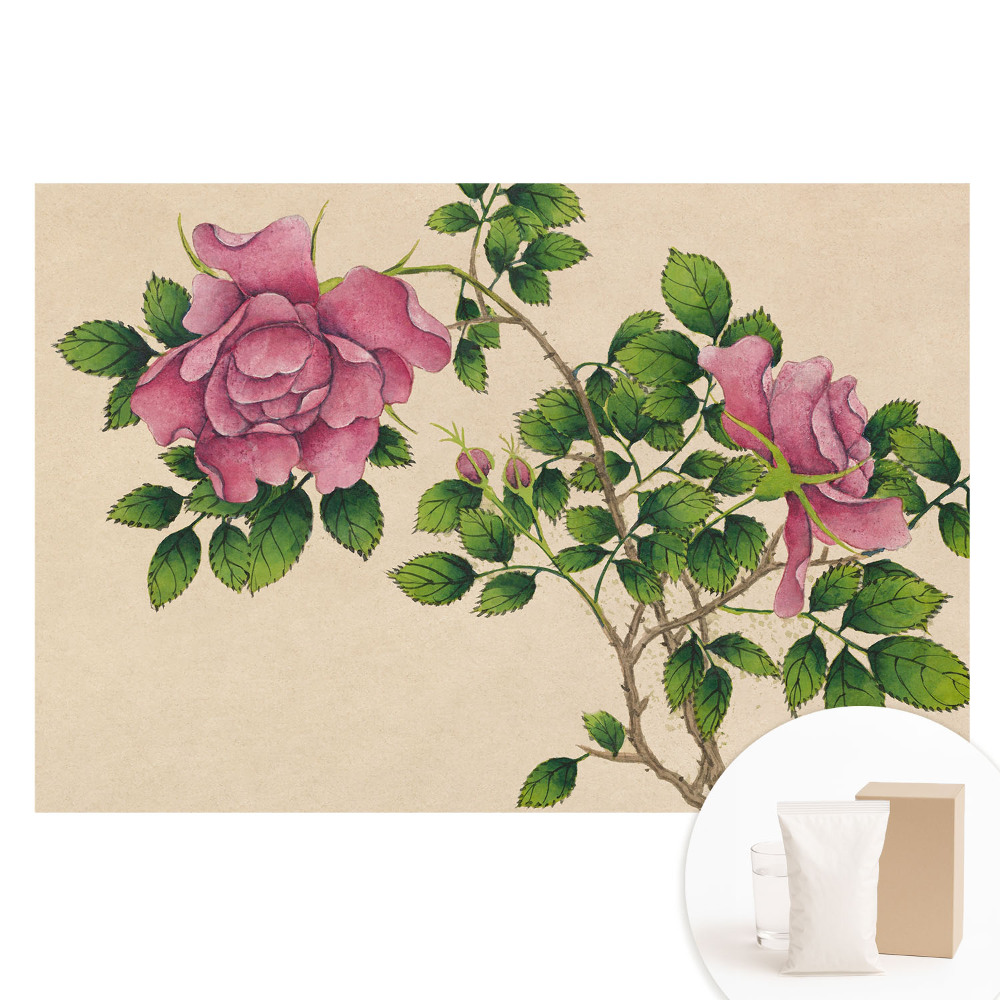 Papier peint intissé La beauté des roses style classique