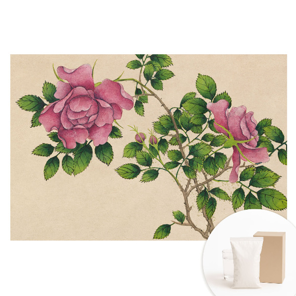 Papier peint intissé La beauté des roses dans un style classique