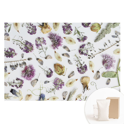 Papier peint intissé imprimé Fleurs séchées sur fond blanc